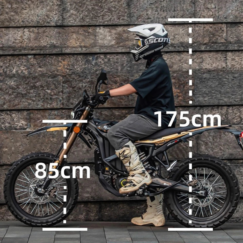 Customizable Brand - Ultra Bee 2026 Latest Model 21KW High-Power Electric Motorcycle (High Performance) Gold/Black
